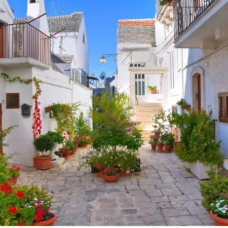 B&B Principe18-2
